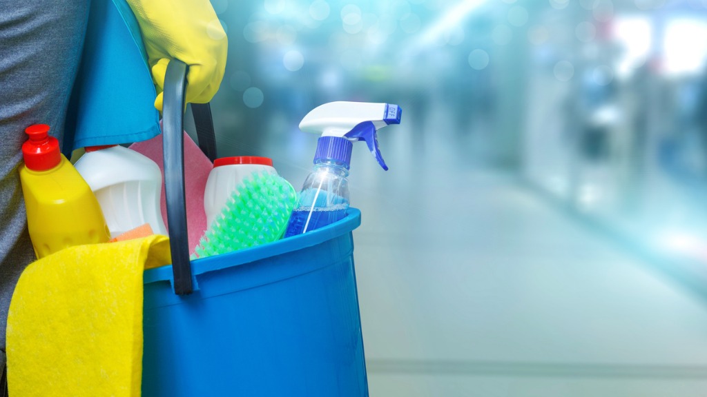 Cleaning lady with a bucket and cleaning products picture id870219332
