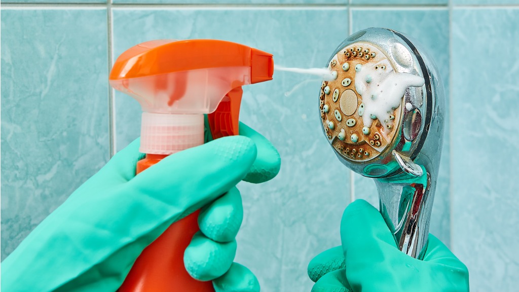 Cleaning the head of shower with a foamy liquid closeup picture id939328594